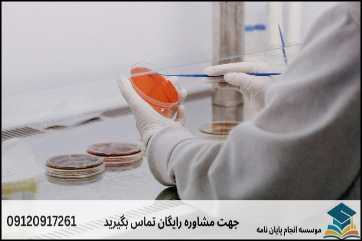 نقشه راه ۵ مرحلهای انجام پایاننامه مهندسی بافت